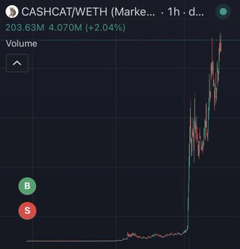 A 1-hour candlestick chart of CASHCAT/WETH showing a dramatic price spike to 4.070M (+2.04%), visualizing how a trade that was sold for $30 later surged to $140,000 in value as the token's market cap ballooned to over 203M.