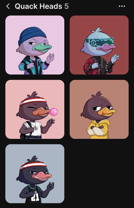 The image features a collection of six different duck heads, each with unique appearances and poses. The ducks are arranged in two rows of three, showcasing their diverse styles and characteristics. The text "Quack Heads 5" is displayed at the top of the image, indicating that this is a part of a larger series or campaign related to duck heads.