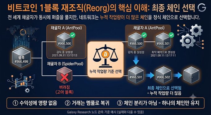 An infographic in Korean explaining the core principle of Bitthumb's organizational reorganization (Reorg) for final chain selection, showing how blocks are validated by providers (AntPool and SpiderPool) and selected through cumulative work and chain separation criteria.