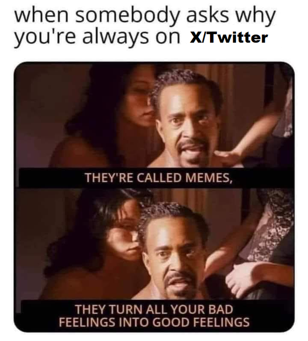 A meme featuring text 'when somebody asks why you're always on X/Twitter' above two frames of a man, with captions 'THEY'RE CALLED MEMES' and 'THEY TURN ALL YOUR BAD FEELINGS INTO GOOD FEELINGS'.
