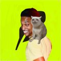 A meme image showing a man's head edited onto a body holding a gray and white cat, set against a bright green background.