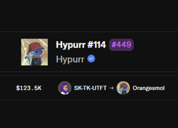 A close-up shot features a person's face, specifically their profile picture of a hypurr cat avatar with an orange color, located at the bottom right corner of the screen. The caption underneath the person's profile pic talks about trading and selling the hypurrcat for $123.5k and how it is worth around 30-40k usd today.