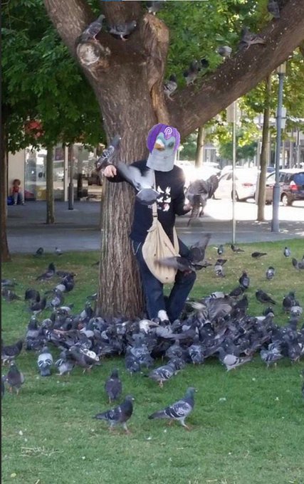 The image shows a person standing under a tree surrounded by many birds, including pigeons. The person appears to be feeding the birds or interacting with them. There are also several cars parked nearby, indicating that this scene takes place in an urban setting. The caption provided seems unrelated and does not provide any meaningful context about the image.