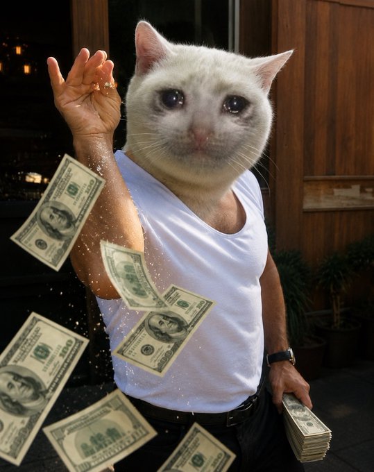 A person wearing a white tank top and a cat mask throws dollar bills into the air while holding a stack of cash.