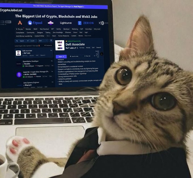A tabby kitten dressed in a business suit sits in front of a laptop displaying CryptoJobsList.com, with visible listings for "Defi Associate" at Re7 Labs and other roles at Paradigm, KLON3X, and Bluesign—humorously illustrating the post's joke about scrolling through crypto job boards leading to your next career move.