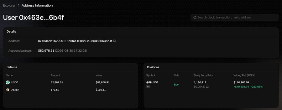 An Address Information page on a blockchain explorer showing User 0x463e...6b4f with a balance of $82,978.51, holding 82,667.61 USDT and 171.62 ASTER, plus a long position of 1,130,412 牛USDT valued at $110,966.54 with +223.06% PNL.