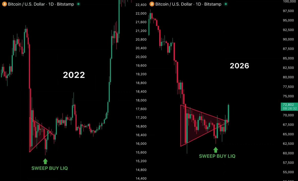 xtrp and bittrex are shown on a black background, with red and green lines representing the price movements of these exchanges over time.