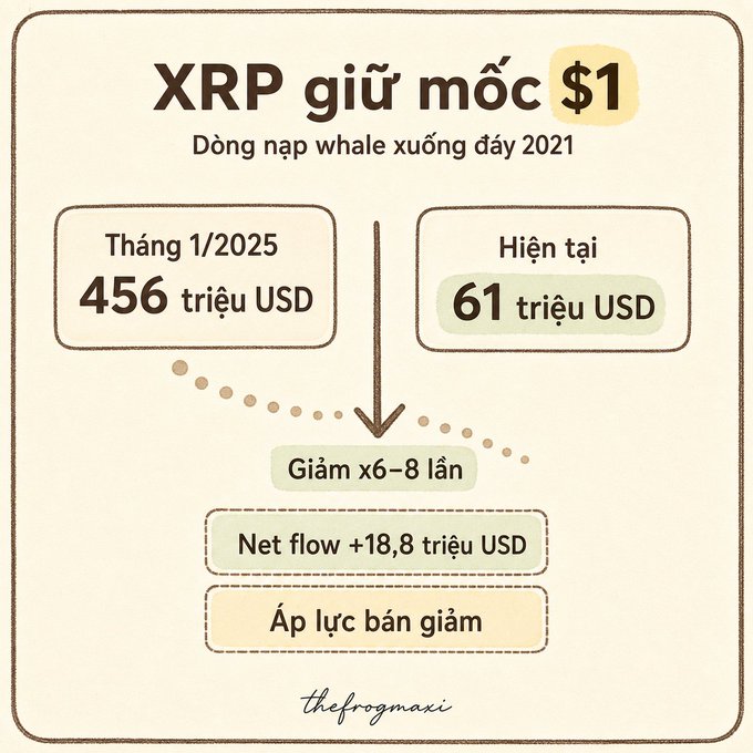 An infographic in Vietnamese about XRP's struggle at the $1 mark, showing whale accumulation dropped from 456 trillion USD in January 2025 to 61 trillion USD currently, a 6-8x decrease with +18.8 trillion USD net flow.