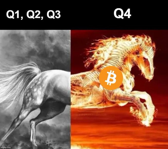 A meme contrasting three "horse" quarters with a flaming Bitcoin-themed horse in Q4, referencing crypto market performance.