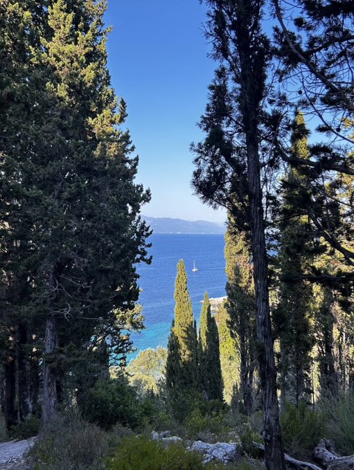 A serene coastal view framed by tall pine trees, with a sailboat drifting on the blue sea and distant mountains on the horizon — a perfect peaceful Sunday scene. The image complements the warm "Have a great Sunday Lads" message by evoking a tranquil, scenic escape to enjoy the day.
