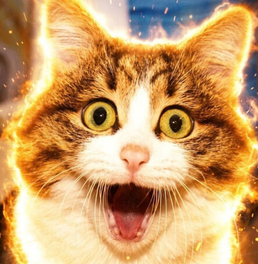 A close-up of a wide-eyed tabby cat with its mouth open in surprise, surrounded by a dramatic ring of flames.