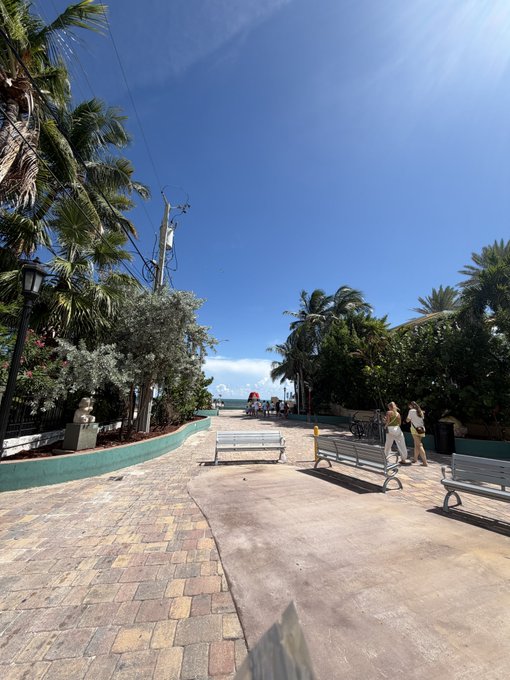 A scenic plaza with palm trees, benches, and ocean views in the distance, bathed in bright sunshine, captures the relaxed, optimistic vibe of a perfect morning with crypto gains.

The image likely depicts a tropical coastal location—possibly somewhere like Key West or a similar Caribbean-inspired spot—where the palm trees and oceanfront walkway suggest a vacation setting, fitting the celebratory tone of waking up to rising prices for $LINK and $SUI.