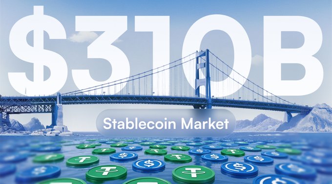 A graphic showing '$310B Stablecoin Market' in large white text over an image of a bridge and water with green Tether and blue USDC coins floating on the surface.