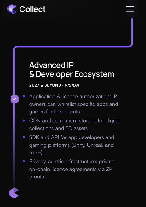 A digital information card titled 'Advanced IP & Developer Ecosystem' under the 'Collect' header, with a '2027 & BEYOND • VISION' subtitle and bullet points detailing application authorization, CDN storage, SDK/API for developers, and privacy-centric infrastructure via ZK proofs.