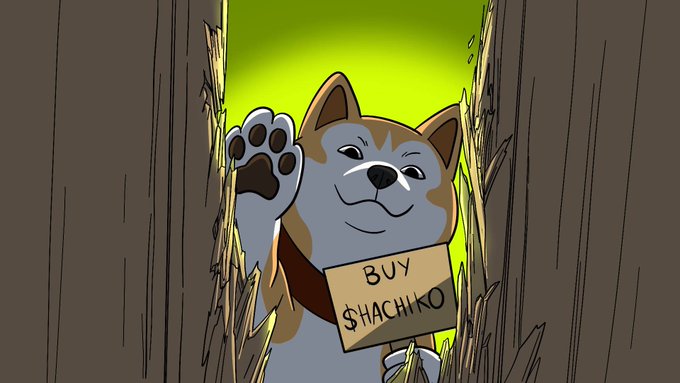 A cartoon illustration of a smiling cat peeking through a broken wooden door, wearing a cardboard sign that reads "BUY $HACHIKO".