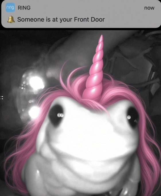 A black-and-white Ring doorbell camera notification reading 'RING: Someone is at your Front Door now', showing a distorted face decorated with a pink unicorn horn and pink hair filter.