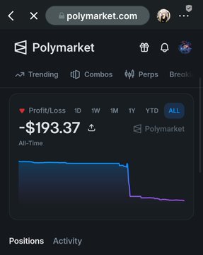 A screenshot of a Polymarket profile page showing an all-time Profit/Loss of -$193.37 with a declining line chart.
