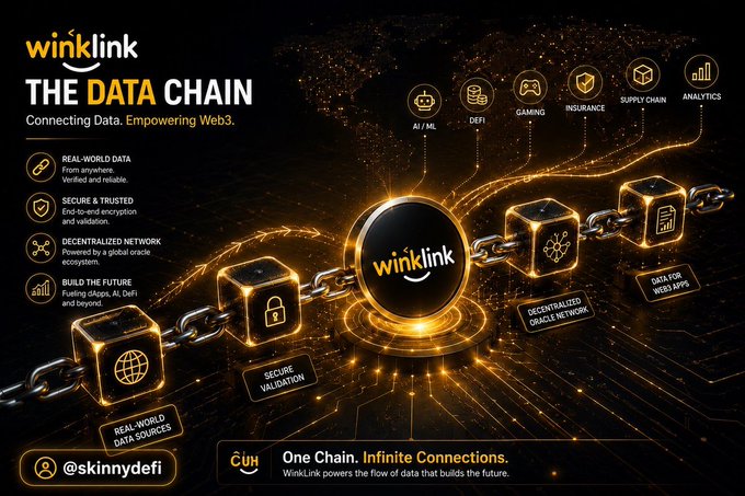 A promotional graphic for WinkLink titled 'THE DATA CHAIN' with the tagline 'One Chain. Infinite Connections,' highlighting features like Real-World Data, Secure & Trusted, and Decentralized Network, credited to @skinnydefi.