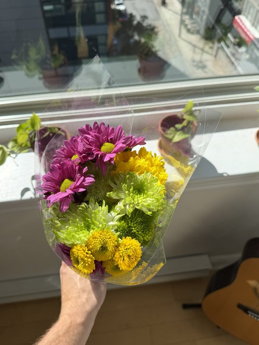 A hand holds a vibrant bouquet of purple, yellow, and green chrysanthemums wrapped in clear plastic, standing by a sunlit window with potted plants outside—living up to the friendly reminder to brighten someone's day with fresh flowers.