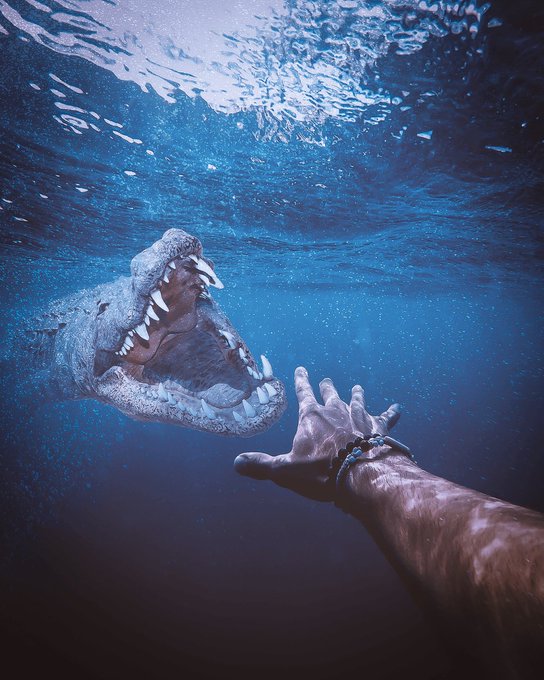 A dramatic underwater photograph shows a large crocodile with its jaws wide open, lunging toward a human hand reaching out toward it, with light filtering down from the water's surface above.