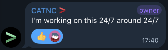 A message from "CATNC" (owner) reads "I'm working on this 24/7 around 24/7" alongside a thumbs-up emoji, sent at 17:40. The humor in the post relates to this announcement, where someone repeatedly claiming "24/7" dedication is humorously interpreted as actually working "around 24/7" instead.