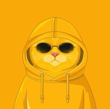 An illustration of a cat wearing a yellow hoodie and sunglasses against a matching yellow background.