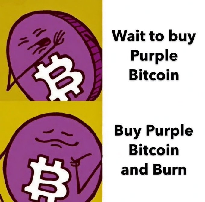 A two-panel meme using cartoon purple Bitcoin characters; the top panel says 'Wait to buy Purple Bitcoin' showing the coin crying, while the bottom panel says 'Buy Purple Bitcoin and Burn' showing the coin looking content.