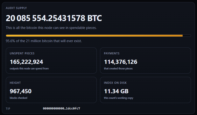 A Bitcoin audit supply dashboard showing 20,085,554.25431578 BTC total spendable (95.6% of 21M), with 165M unspent pieces and 114M payments tracked.