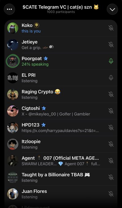 A Telegram voice chat called "$CATE Telegram VC | cat(e) szn" with 1003 participants, showing speakers and listeners including Koko, Jetieye, and others.