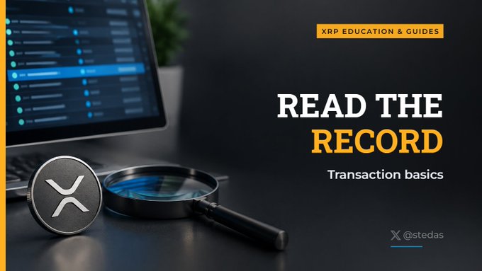 An XRP educational graphic titled "READ THE RECORD: Transaction basics" by @stedas features an image of a computer screen, magnifying glass, and the XRP coin.