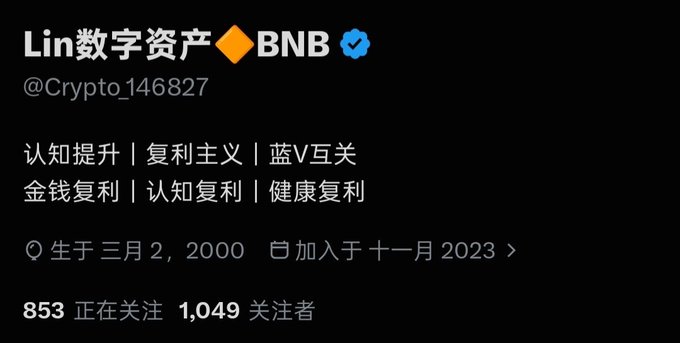 A Twitter/X profile screenshot for 'Lin数字资产 ◆BNB' (@Crypto_146827) with Chinese bio text about cognitive improvement and compound interest, joined in November 2023, with 853 following and 1,049 followers.