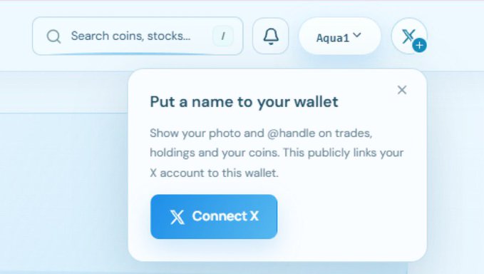 A wallet interface displays a prompt 'Put a name to your wallet' with a 'Connect X' button to link an X (Twitter) account.