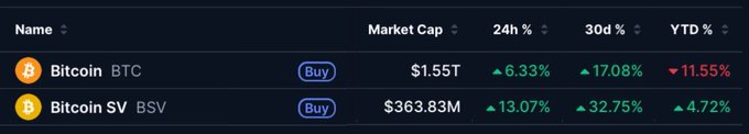 A cryptocurrency market listing displays Bitcoin (BTC) with a $1.55T market cap showing gains of 6.33% (24h), 17.08% (30d), but a YTD decline of 11.55%, alongside Bitcoin SV (BSV) with a $363.83M market cap posting strong gains of 13.07% (24h), 32.75% (30d), and 4.72% YTD. The image reinforces the post's claim about BSV's momentum, visually highlighting BSV's superior performance across all timeframes—particularly its 32.75% 30-day surge versus BTC's 11.55% YTD loss—as evidence of BSV breaking out.