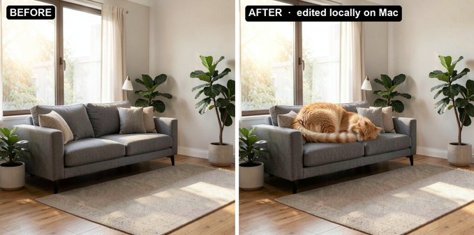 A split image labeled "BEFORE" and "AFTER · edited locally on Mac" shows a living room where a cat has been digitally added to the couch in the right panel, illustrating the post's message about running powerful AI models 100% locally on your own device to maintain control over your data and creative tools.