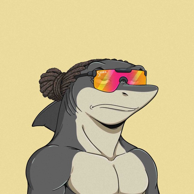 A stylized cartoon illustration of a muscular shark wearing reflective sunglasses with the word "SHARK" visible, accessorized with brown dreadlocks tied in a bun.