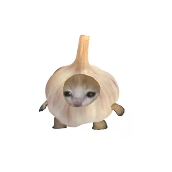 A surreal image of a cat's face appearing inside a garlic bulb, which has small animal paws attached to the sides, set against a white background.