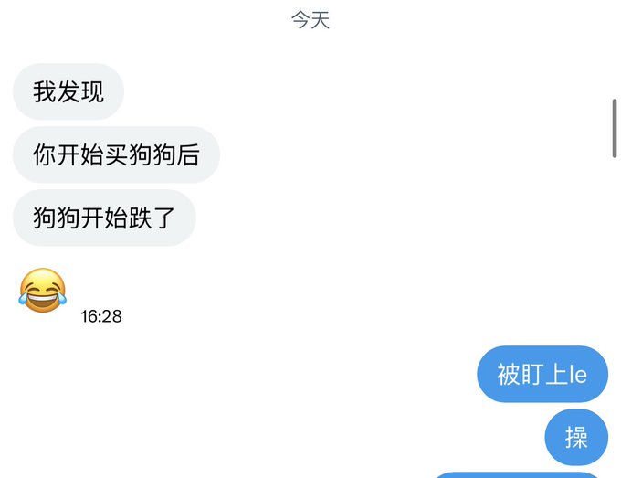 A Chinese text message conversation where one person shares a three-part message: "我发现 你开始买狗狗后 狗狗开始跌了" (I found that after you started buying dog coins, dog coins started to fall), followed by a laughing emoji at 16:28.