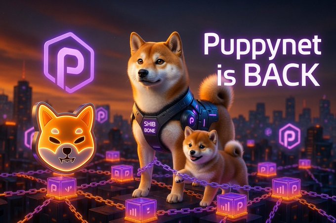 The image shows a Shiba Inu dog wearing a harness labeled "SHIB BONE" standing alongside a smaller Shiba Inu puppy, with the text "Puppynet is BACK" displayed alongside the Polygon (P) logo against a glowing purple cyberpunk cityscape, visually celebrating the return of Shibarium's testnet and its renewed functionality for the ShibArmy community.
