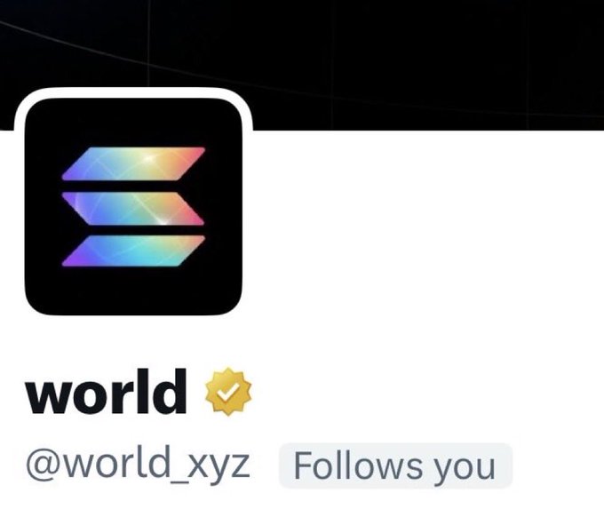 A social media profile card for an account named 'world' with the handle '@world_xyz' features a black icon with colorful horizontal bars and a verified badge, noting 'Follows you'.