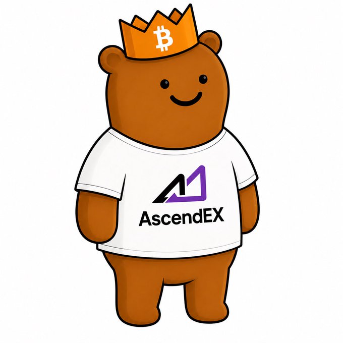 The image features a brown teddy bear wearing a white shirt with purple text that reads "AscendEx". The teddy bear has a crown on its head, giving it an amusing and playful appearance. The caption below the image includes the hashtag #ascendex, which is likely related to the post about the teddy bear's outfit or the brand AscendEx.