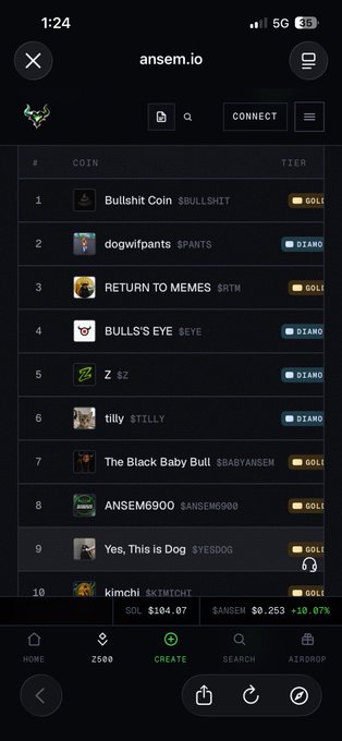 A mobile screenshot of ansem.io's Z500 leaderboard ranks Bullshit Coin ($BULLSHIT) at #1 in Gold tier, followed by dogwifpants, RETURN TO MEMES, BULL'S EYE, Z, tilly, The Black Baby Bull, ANSEM6900, Yes This is Dog, and kimchi—with $ANSEM down 10.07% to $0.253 and SOL at $104.07, illustrating the user's frustration that despite an expensive burn, only Bullshit Coin is performing well while the rest of the meme coin portfolio is struggling.