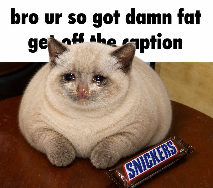 A meme featuring a chubby cream-colored cat sitting next to a Snickers bar with the caption 'bro ur so got damn fat get off the caption'.