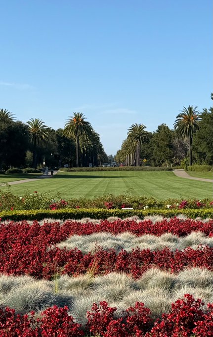 A scenic view of a formal garden featuring a manicured green lawn bordered by vibrant red and white flowers, with palm trees lining a pathway in the background under a clear blue sky.