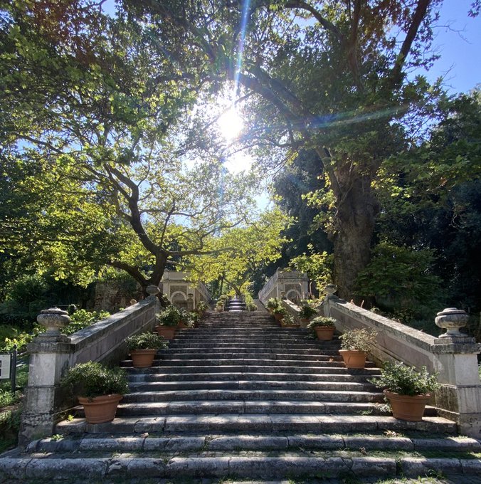 A sun-dappled stone staircase flanked by potted plants ascends through lush greenery, evoking the fresh, uplifting spirit of "Good Morning Web3." The bright sunbeams filtering through the trees symbolize new beginnings and clarity, much like the optimistic outlook often shared in morning Web3 community greetings.