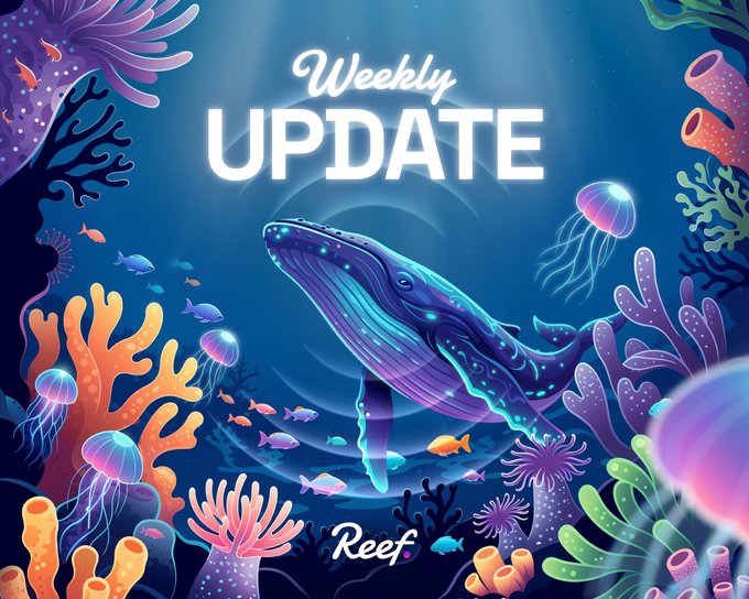 The image features a vibrant underwater scene, with a large whale swimming among colorful fish and other sea creatures such as jellyfish and coral. The background of the image is blue, which complements the overall theme of the ocean environment. In the center of the image, there's text that reads "Weekly Update", indicating that this is an update or new information related to the reef ecosystem. The post also mentions a few other things like contact information for KYC providers and the start date of the marketing campaign.