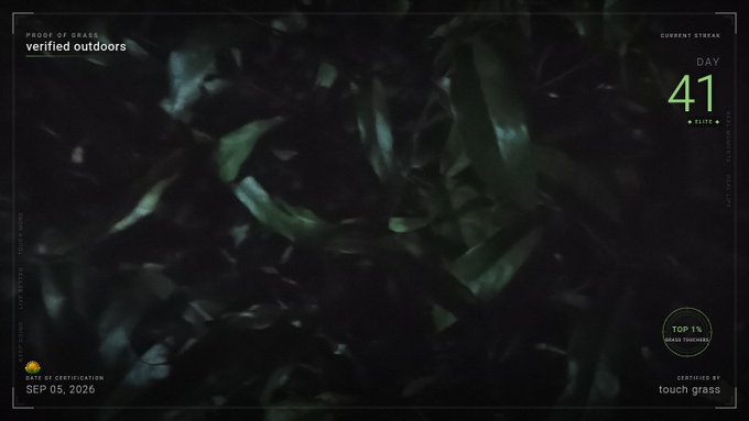 The image shows a dark, close-up view of blades of grass illuminated in green, framed as a "Proof of Grass" certification with overlays reading "verified outdoors," "CURRENT STREAK DAY 41," "DAY 40 · CERTIFIED," "TOP 1%," "CERTIFIED BY touch grass," and "DATE OF CERTIFICATION SEP 05, 2026." It visually represents the post's milestone of hitting a 40-day streak in the TouchGrass streak challenge, with the freshly certified grass serving as evidence of continued outdoor commitment.