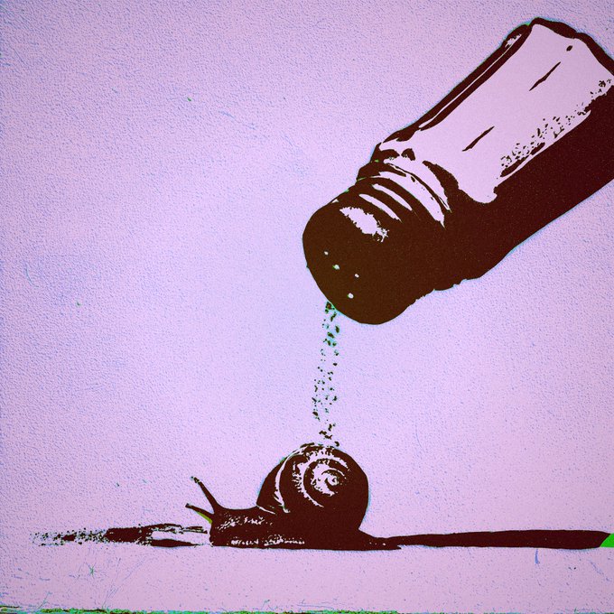 Stylized illustration of a salt or pepper shaker pouring seasoning onto a snail on a pink background.