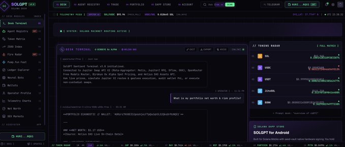 Screenshot of the SolGPT Beta terminal interface showing real-time cryptocurrency prices for SOL, USDC, USDT, JitoSOL, and BONK, along with a AI command prompt requesting a Solana wallet routing system and a chatbot response about portfolio risk profiles.