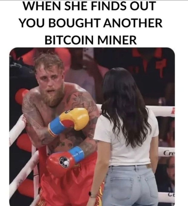 A meme featuring Jake Paul in a boxing ring with the caption 'WHEN SHE FINDS OUT YOU BOUGHT ANOTHER BITCOIN MINER'.