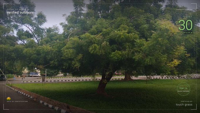 A camera viewfinder-style image of trees in a park or roadside area, with overlay text showing 'verified outdoors', 'DAY 30', and 'verified by touch grass'.